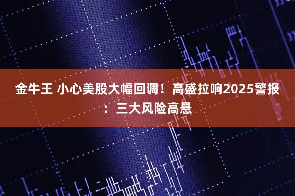 金牛王 小心美股大幅回调！高盛拉响2025警报：三大风险高悬