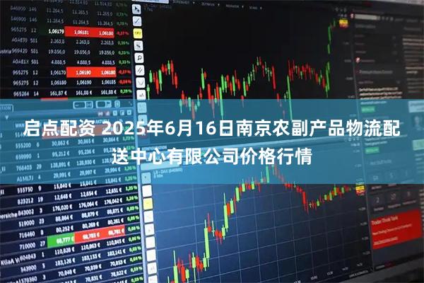启点配资 2025年6月16日南京农副产品物流配送中心有限公司价格行情