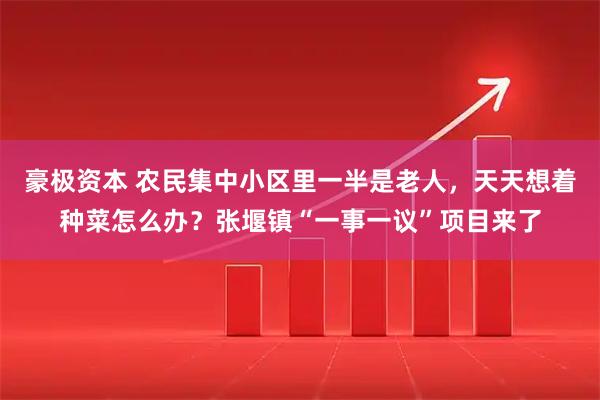 豪极资本 农民集中小区里一半是老人，天天想着种菜怎么办？张堰镇“一事一议”项目来了